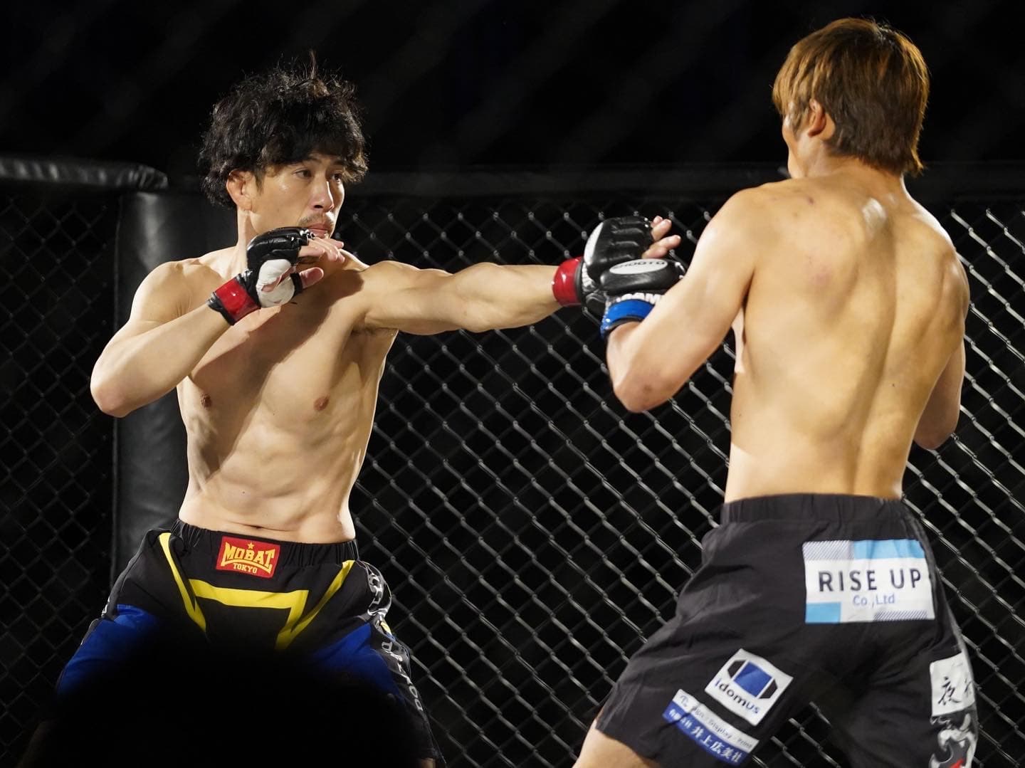MMA・総合格闘技の練習風景
